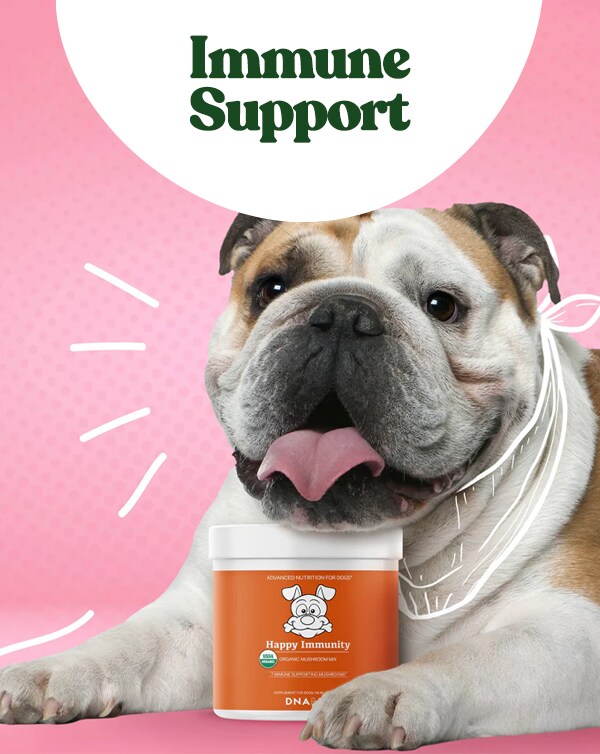Immune Support